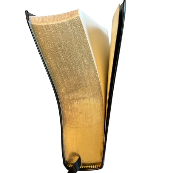 The Message - THE BIBLE in contemporary language - Black bonded leather - gold - Picture 3 of 9